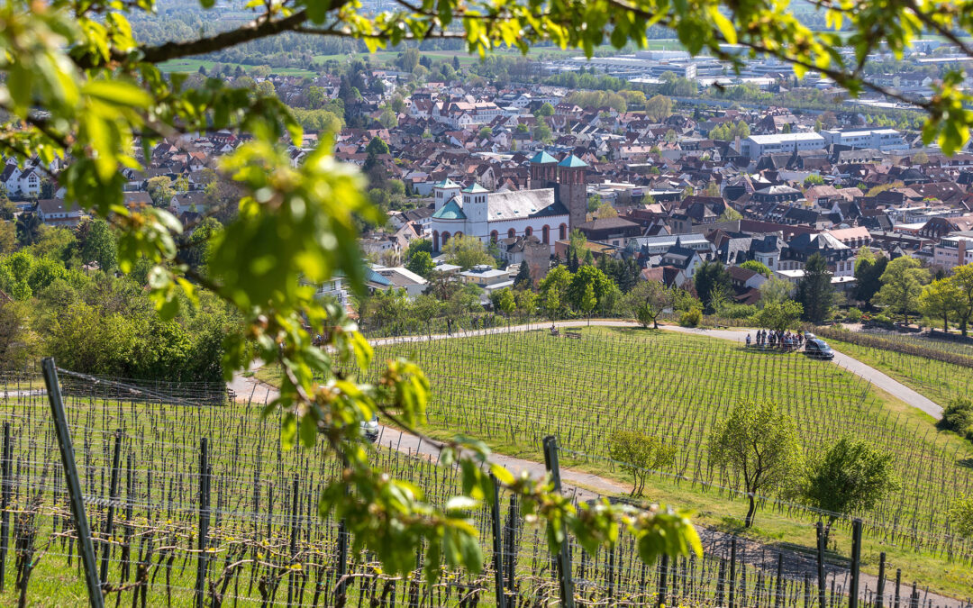 Meine Vision 2032: Bensheim ist wieder auf Erfolgskurs!